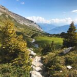 A scenic mountain trail winds through lush greenery with a stunning view of alpine peaks and a winding stream