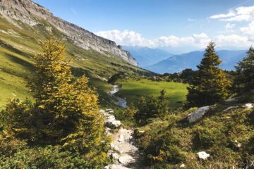 A scenic mountain trail winds through lush greenery with a stunning view of alpine peaks and a winding stream