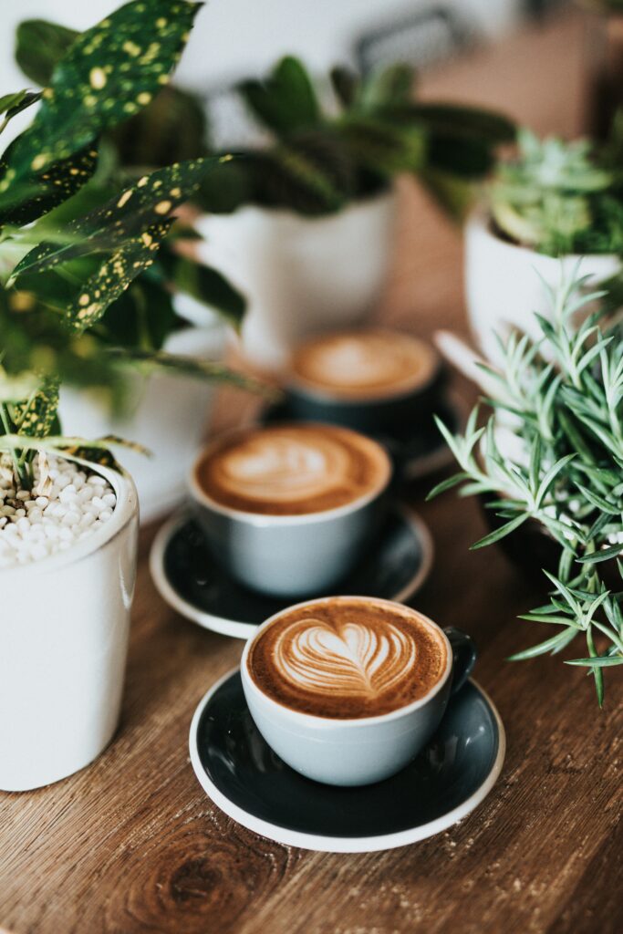 Three ceramic cups of cappuccino with intricate heart latte art on a wooden counter, surrounded by potted green plants.