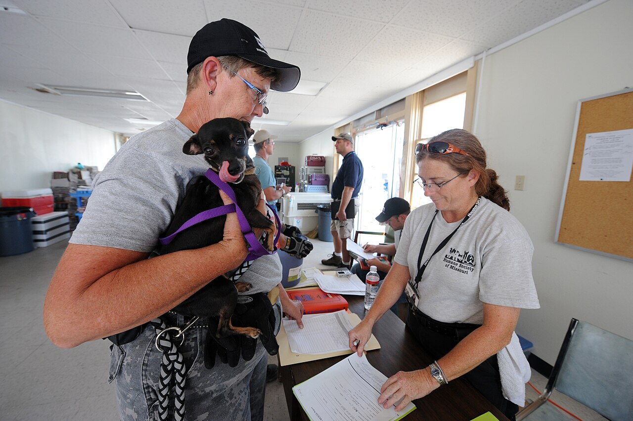 Volunteer holding a shelter dog, echoing the flood-made billboards charity campaign in Poland